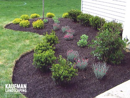 Lawn/Bed Maintenance, Plant Installation